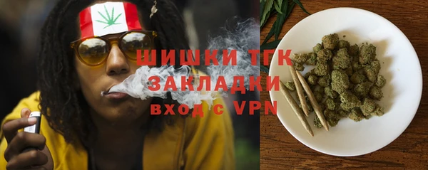 сатива Заволжье