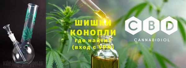 сатива Заволжье