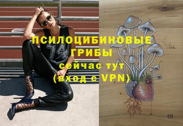 кокаин колумбия Заводоуковск