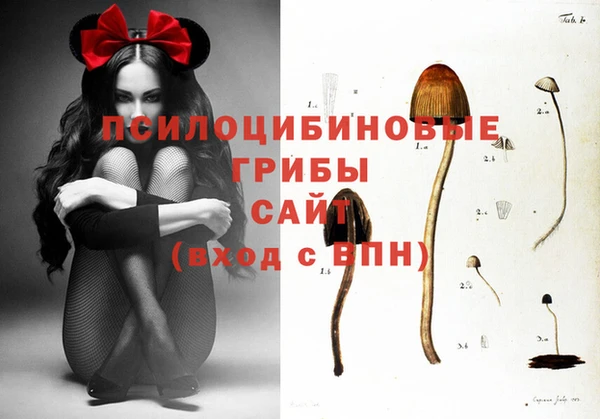 кокаин колумбия Заводоуковск