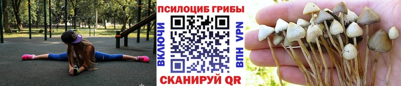 Галлюциногенные грибы Psilocybine cubensis Симферополь